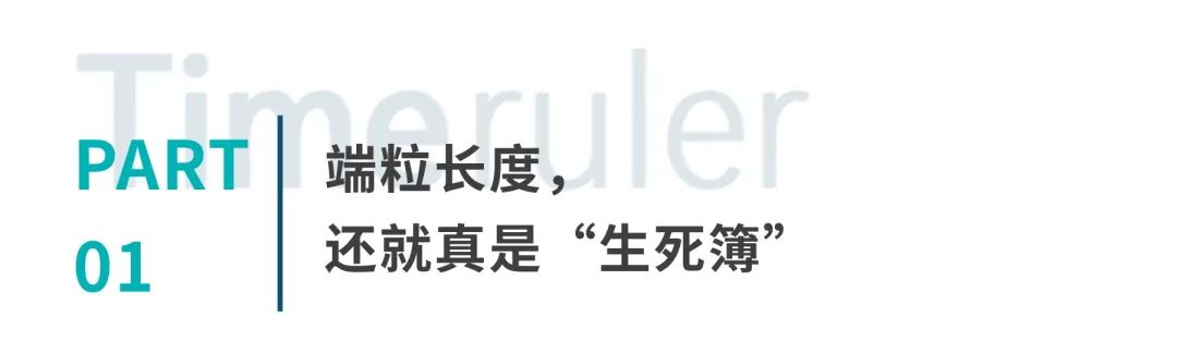圖片 2.png