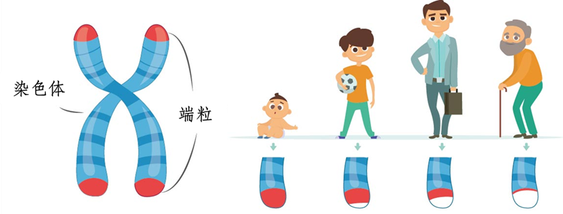 圖片 1.png