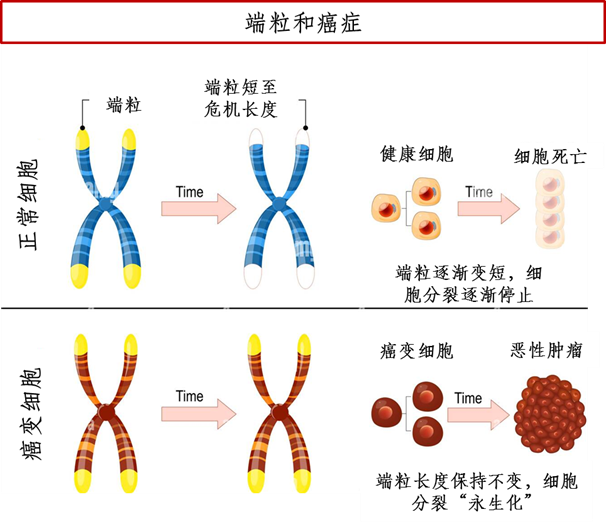 圖片 2.png